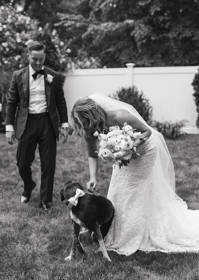 Wedding couple portraits with dog