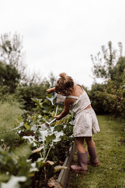 moestuinshoot