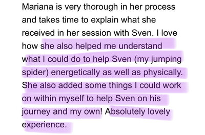 animal communication testimonial