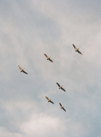 002-2017_Sarah_Josh_1806