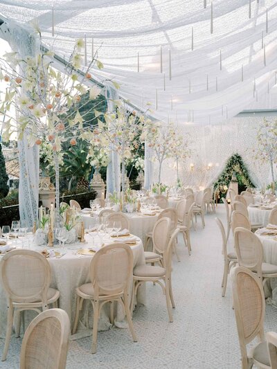 Houston Wedding Photographer 190_1