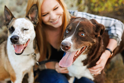 Billings-Best-Dog-Photographer-037