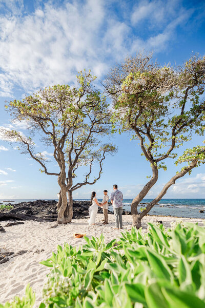 Kona Wedding on the beach