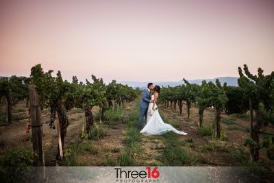 Newly married couple share a kiss in the wine orchard at the Ponte Winery in Temecula