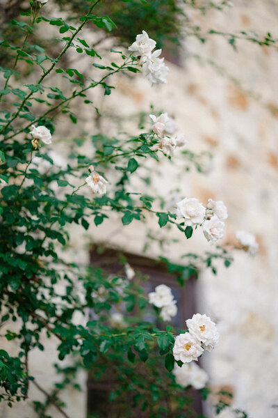 Cameron and Elizabeth Photography