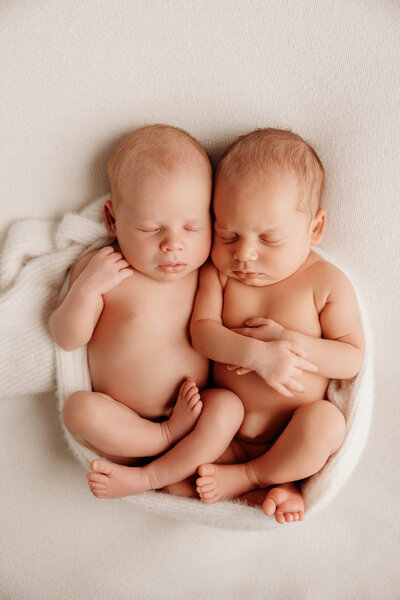 Newborn portraits taken by michelle kelly in her auckland photography studio