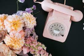 close up of the marsh creek audio guest book