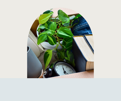 downsizing and decluttering VA