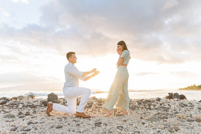 Maui Proposal Packages
