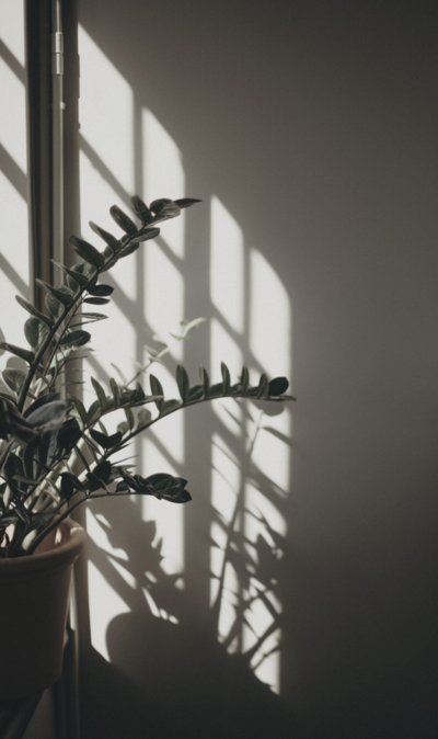 Organic and Low-Toxin Salon Products