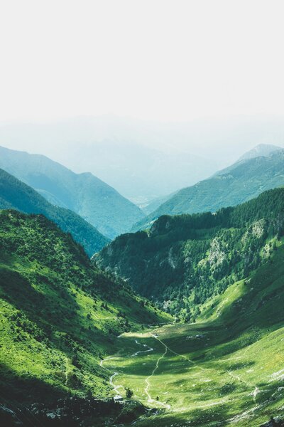 fabrizio-conti-paysage-vosges-montage