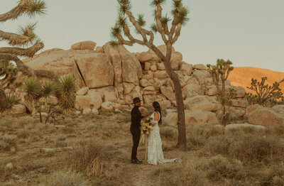 a couple holding hands in the desert for their elopement