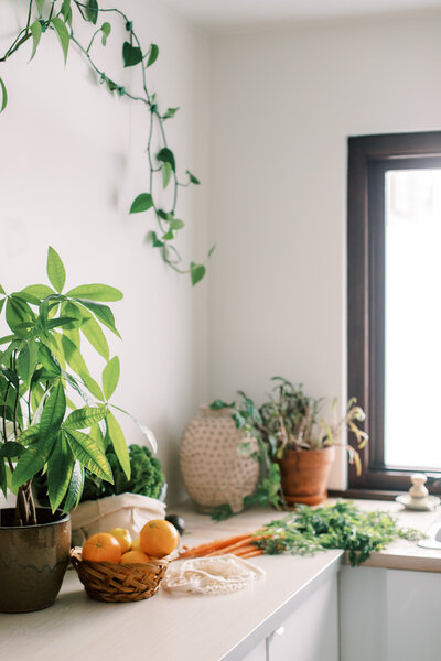 Natural kitchen setting with indoor plants, fresh vegetables, and fruit displayed on a counter near a window.