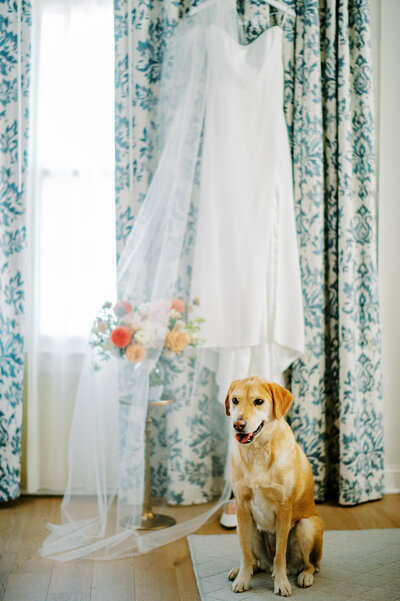 James-Emily-Wedding-photos-21