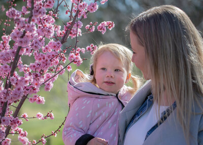 Mother and young daughter amid Canberra spring blossoms
