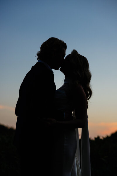 Virginia Museum of Fine Art Wedding Photography