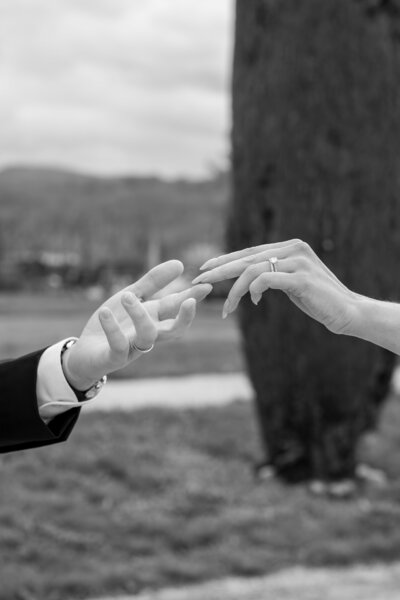 Alliances de mariage luxueuse