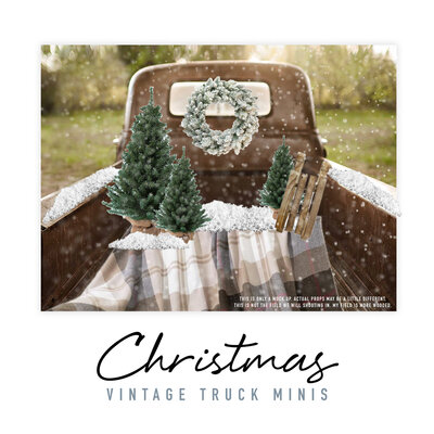 This vintage truck, adorned with Christmas decorations, sets the stage for a charming photo session. The rustic charm and vibrant colors of the setup create a whimsical and Christmas atmosphere. This is perfect for capturing timeless memories with Bri Sullivan Photography.