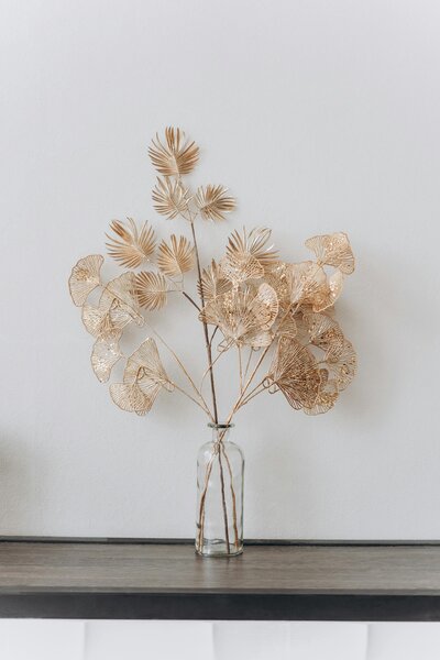 Decorative beige plant against a grey wall reflecting the calming, modern aesthetic of Wellness and Hormone Health