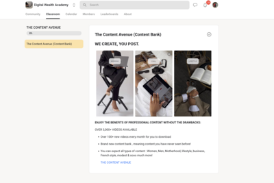 Screenshot of Digital Wealth Academy course
