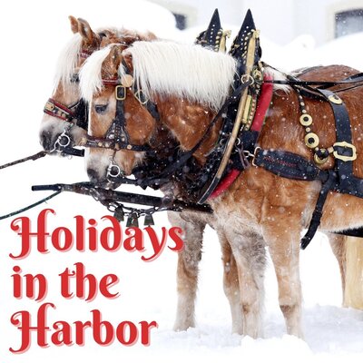Holidays in the Harbor horses sponsored by joye in Scituate, MA
