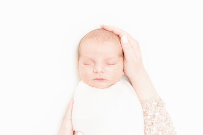 photographer newborn