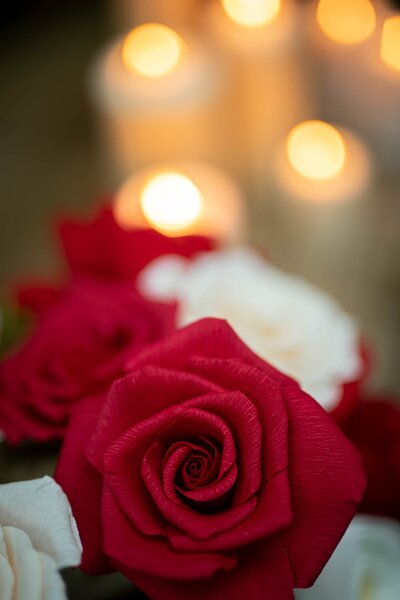 Romantic red roses in paper