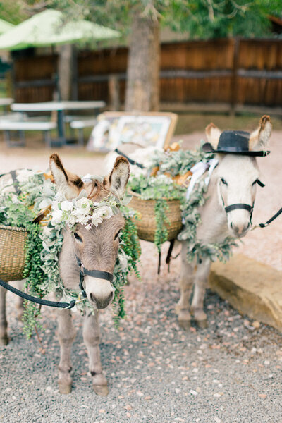 Chapel-On-The-Rocks-Wedding-Photographer-70