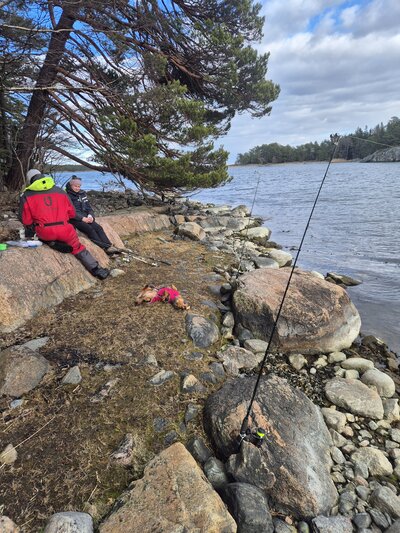 Onkivapa rauhallisessa ja kauniissa merimaisemass aauringonlaskun aikaan
