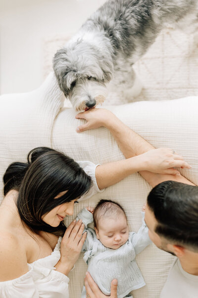 miami family photographer