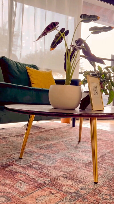 Coffee table with plants, green couch with yellow pillows, and red rug