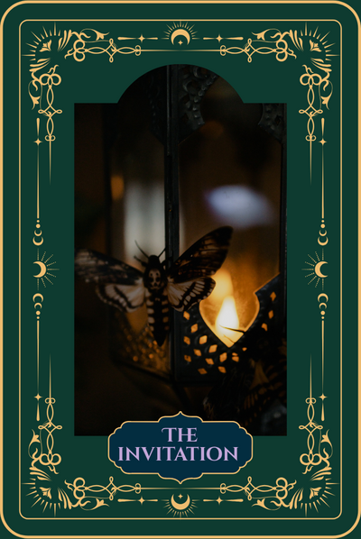 Ethereal image of moth illuminated in soft golden light, symbolizing transformation and guidance – True Worth Photography contact page.