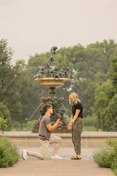 Proposal photo and engagement photos in twin cities minnesota