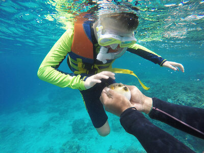 snorkling and water excursions in Destin, Florida