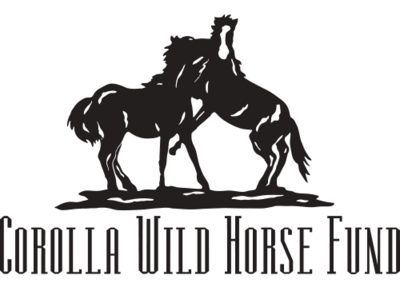 corolla horse fund