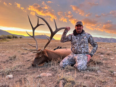 Archery hunter with Wyoming elk