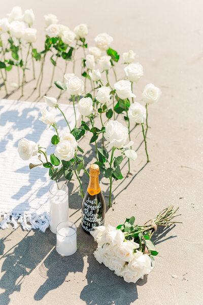 Charleston Proposal Photographer | Laura and Rachel Photography