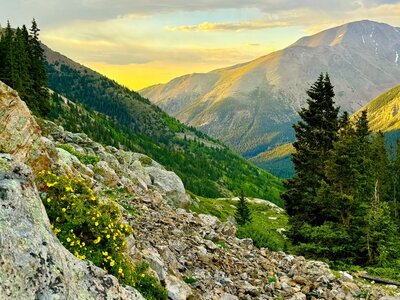 mountain sunset with greenery