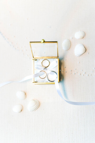 jordan-summer-photography-kristen-daniel-ritzcarltonsarasota-wedding-19