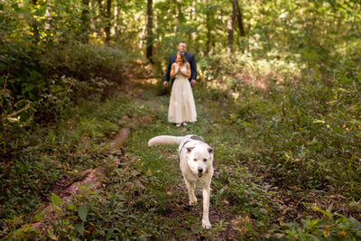 Couple walks with dog through the woods on their elopement day in Indiana