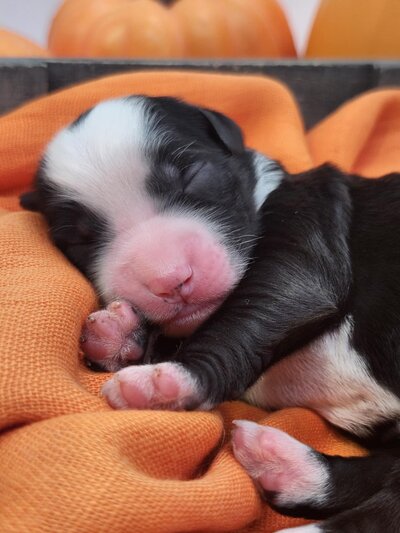 29f61304-ef78-48a0-a5d3-d36a6306c32f