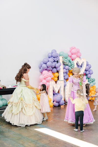 princess themed party photo by minneapolis photographer