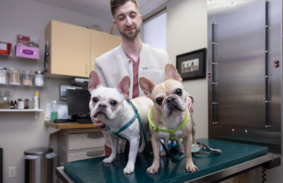 wall art of a woman hugging her black lab