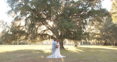 groom holds bride under large oak tree during golden hour