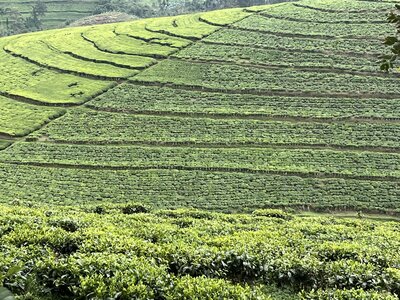 rwanda 7