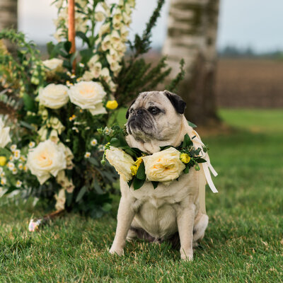 Bellingham-Wedding-Vendors_Caylie-Mash-Photography-072