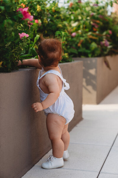 a toddler looks at flowers in the summer