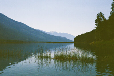 Arrow Lake in Revelstoke, BC in the early morning light with reeds in the foreground and mountains in the background