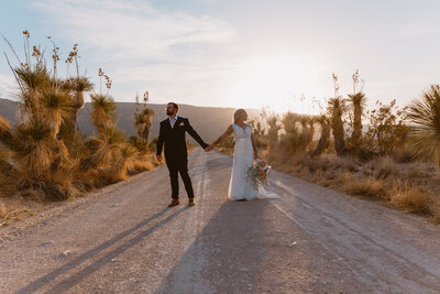 Bride and groom walking hand in hand down a desert road during their elopement at Big Bend National Park, Texas, with dramatic desert scenery and golden hour lighting.
