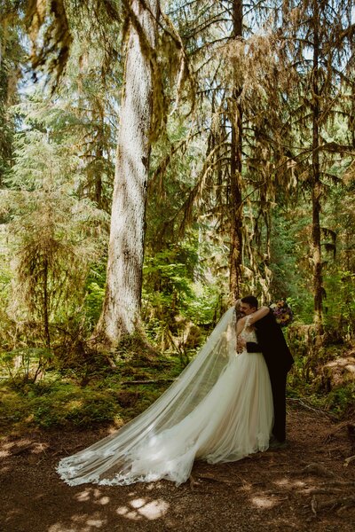 sierra nevada western elopement